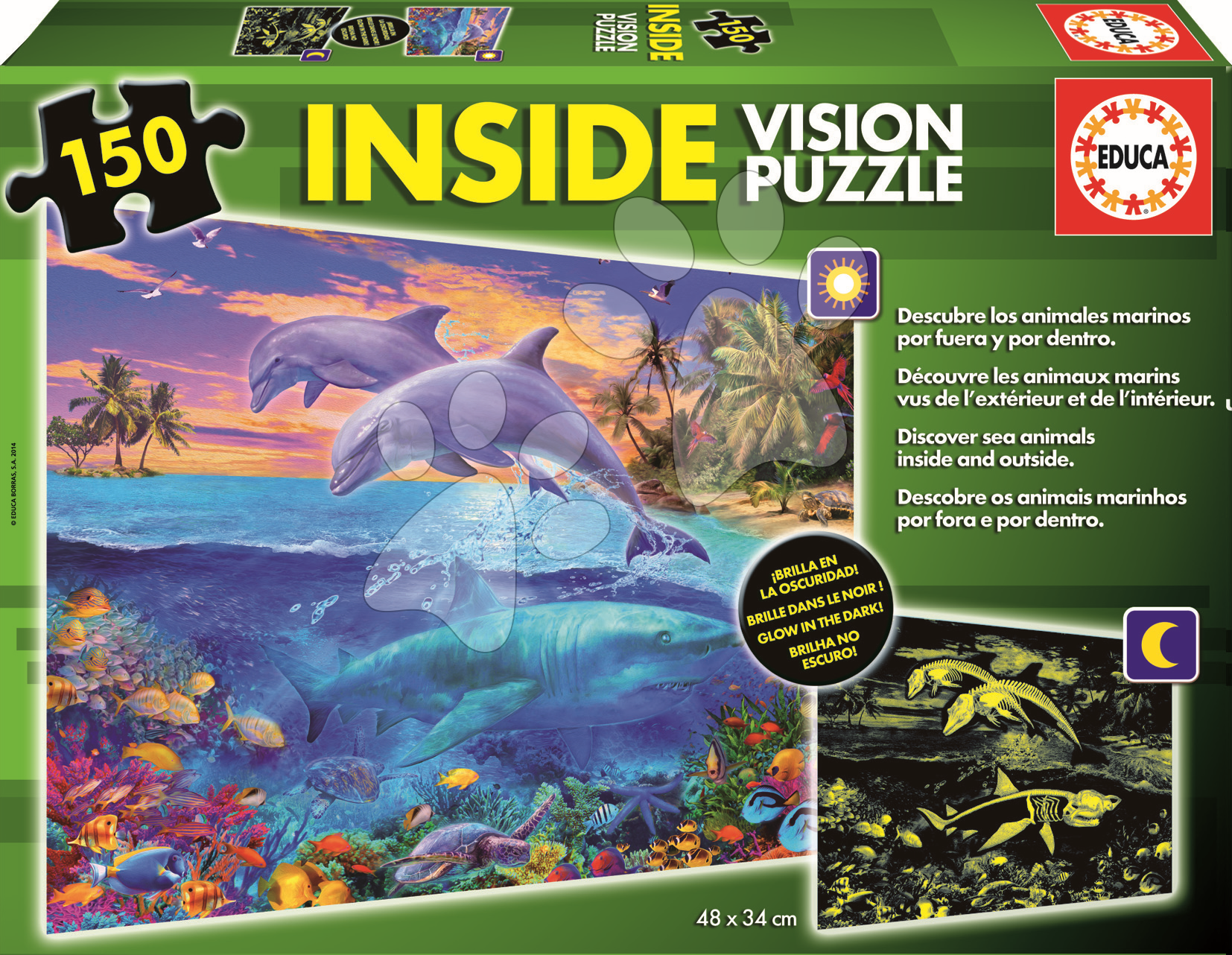 Detské puzzle od 100-300 dielov - Puzzle Oceán s delfínmi Educa fosforeskujúce 150 dielov od 6 rokov