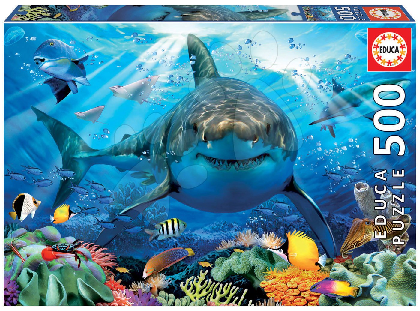 Puzzle Great White Shark Educa 500 darabos és Fix ragasztó 11 évtől