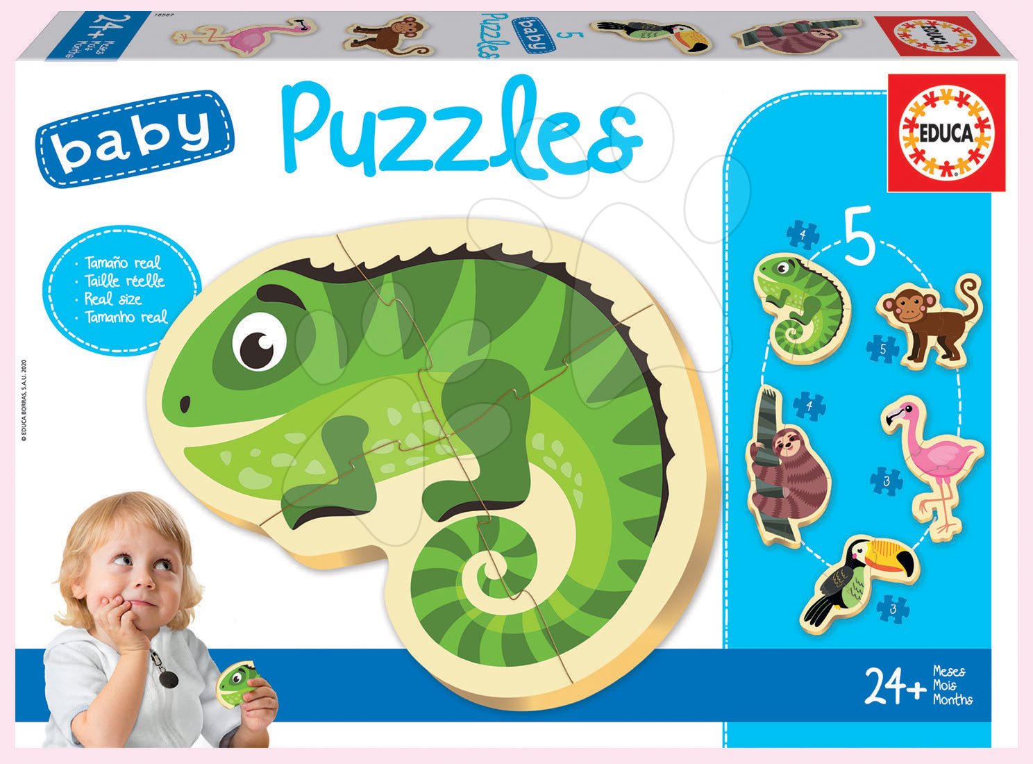 Puzzle pre najmenších - Puzzle pre najmenších Baby 5 Educa - Tropické exotické zvieratká od 24 mes