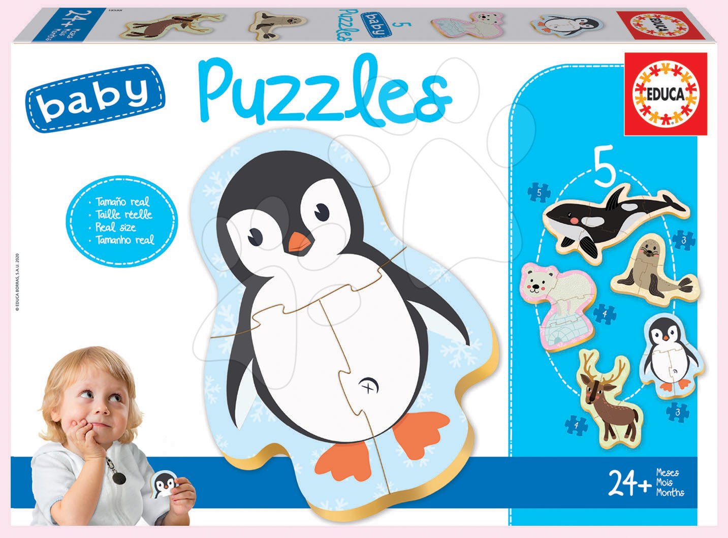 Puzzle pre najmenších Baby 5 Educa - Zvieratká Severného pólu od 24 mes