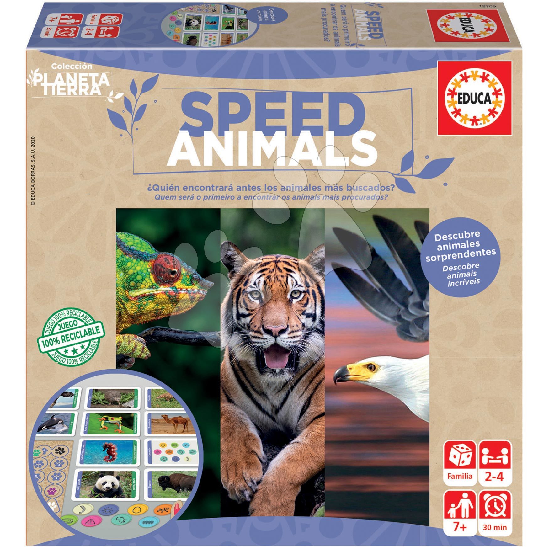 Společenská hra Rychlá zvířata Planeta Tierra Speed Animals Board Game Educa 96 karet ve španělštině od 7 let