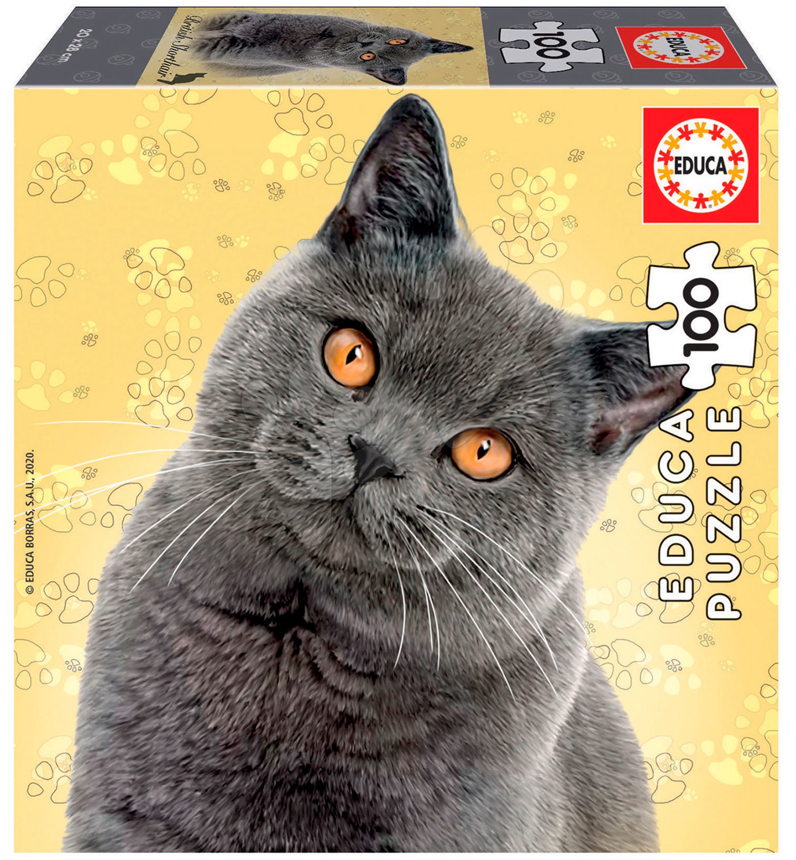 Puzzle Mini Box British Shorthair Educa 100 dílků od 6 let