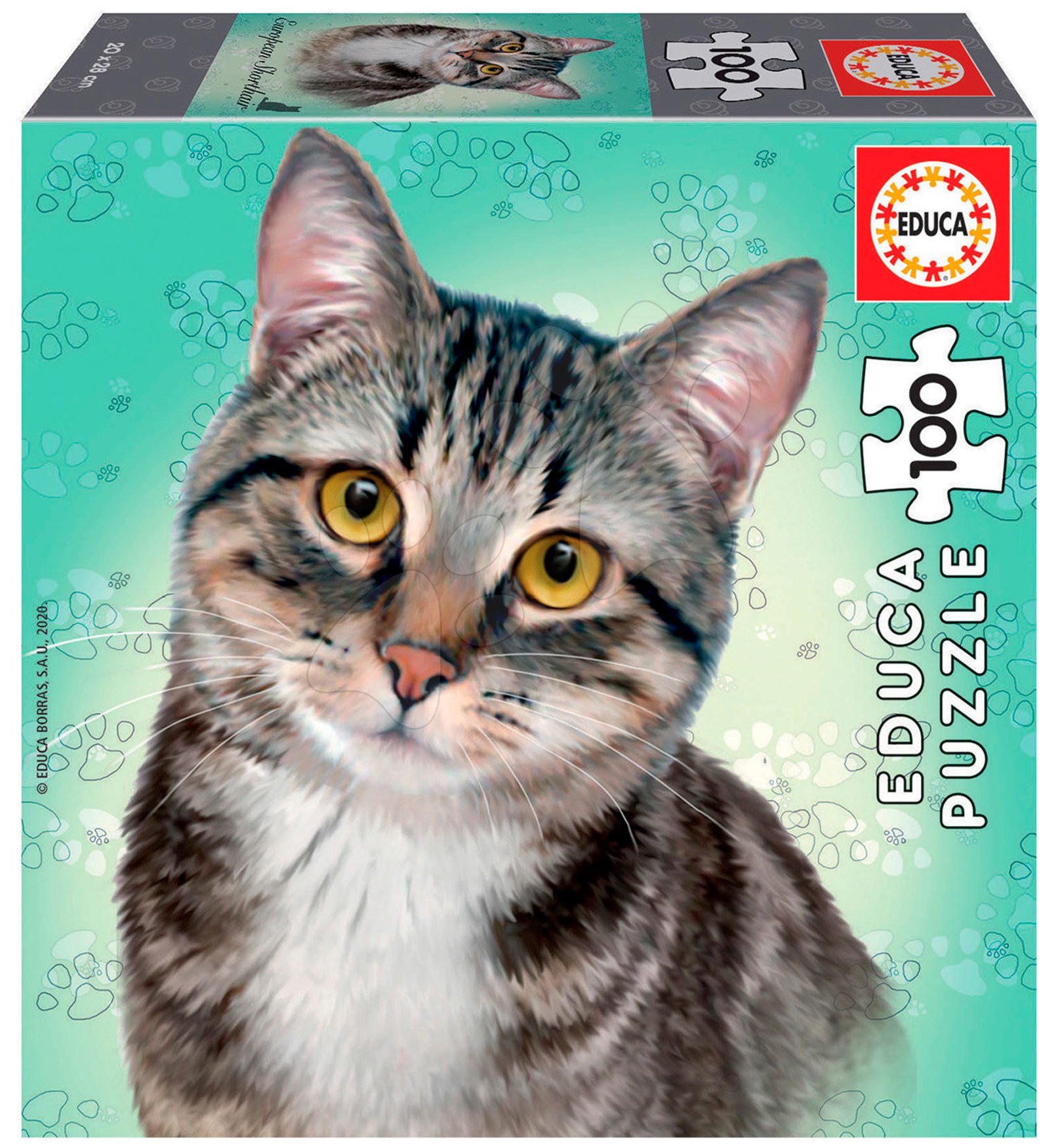 Puzzle Mini Box European Shorthair Educa 100 darabos 6 évtől