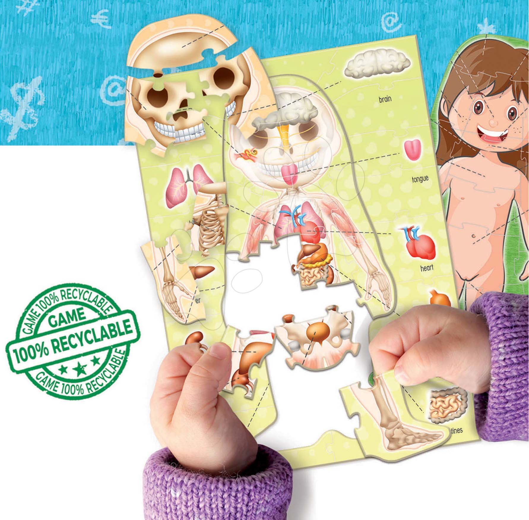 Gioco educativo per i più piccoli Imparariamo l'anatomia del