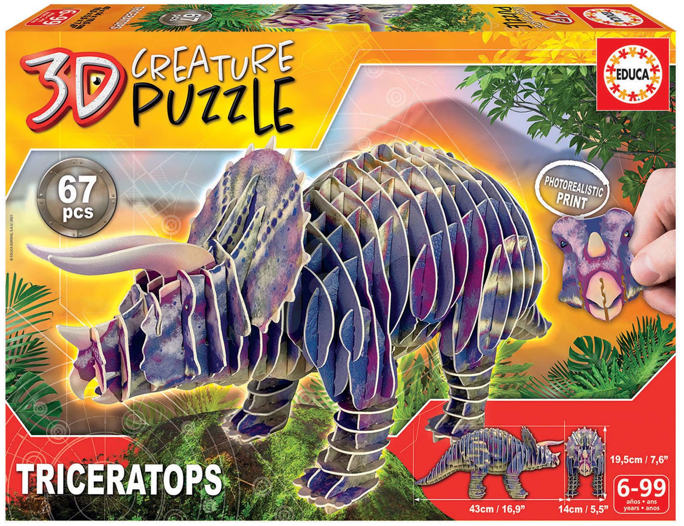 E-shop Puzzle dinosaurus Triceratops 3D Creature Educa dĺžka 43 cm 67 dielov od 6 rokov