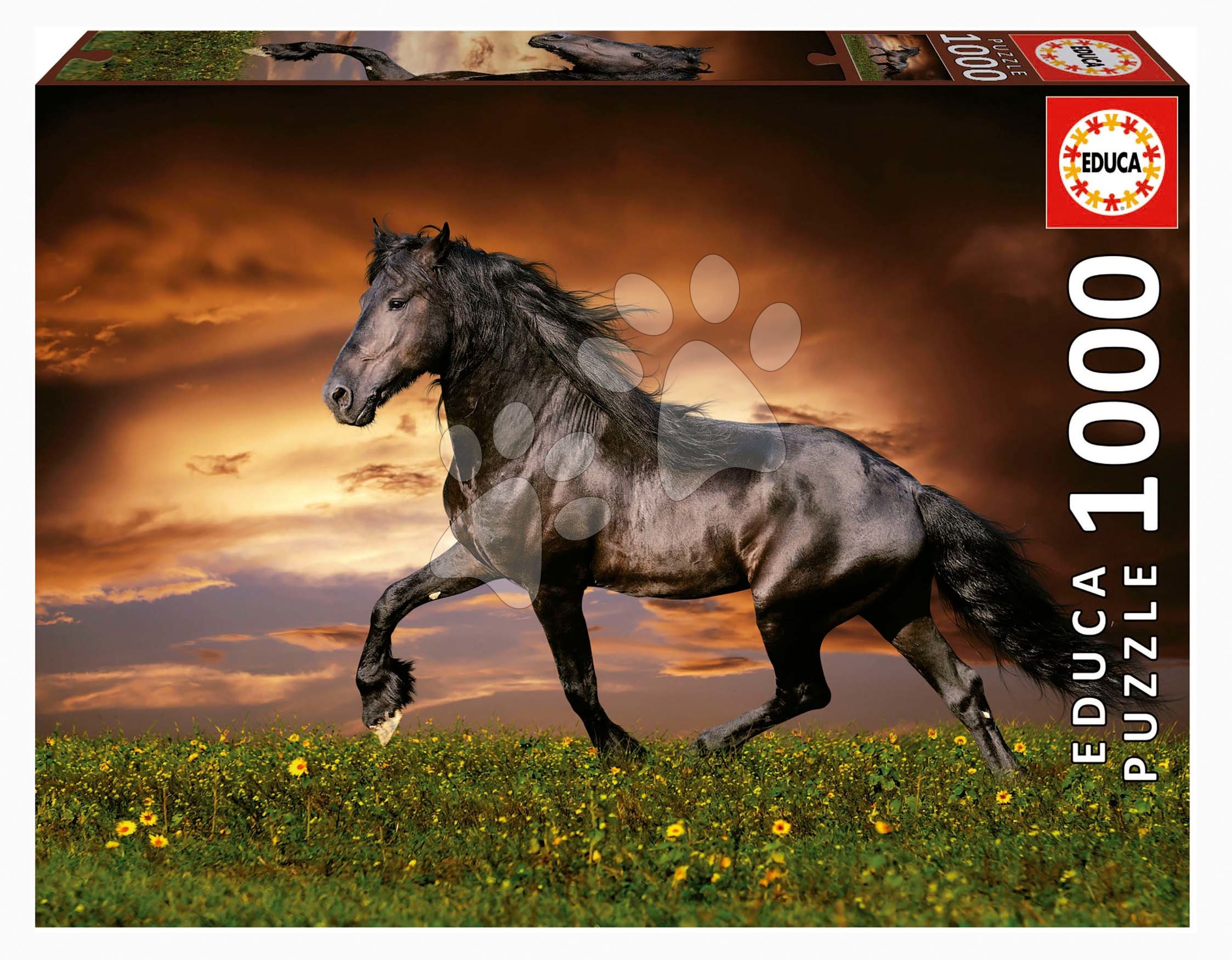 Puzzle Trotting Horse Educa 1000 darabos és Fix ragasztó