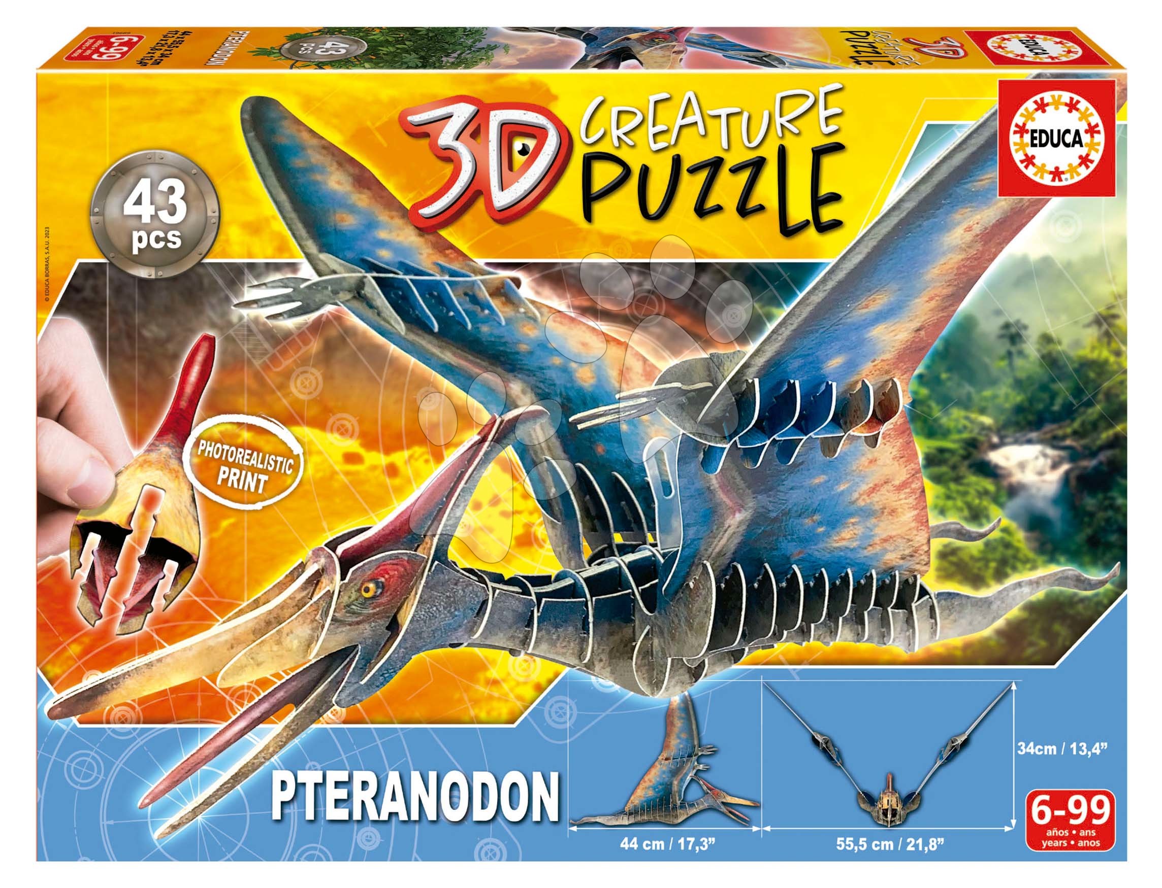 E-shop Puzzle dinosaurus Pteranodon 3D Creature Educa dĺžka 44 cm 43 dielov od 6 rokov