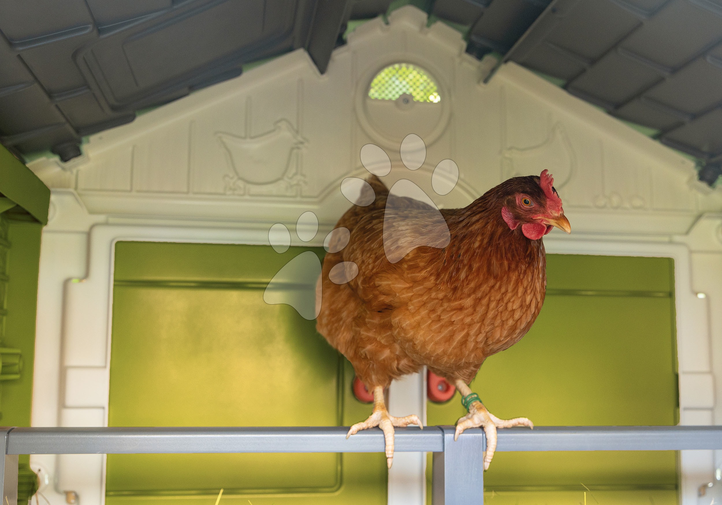 Kurn k Pro 5 Slepic Cluck Cluck Cottage Green Smoby