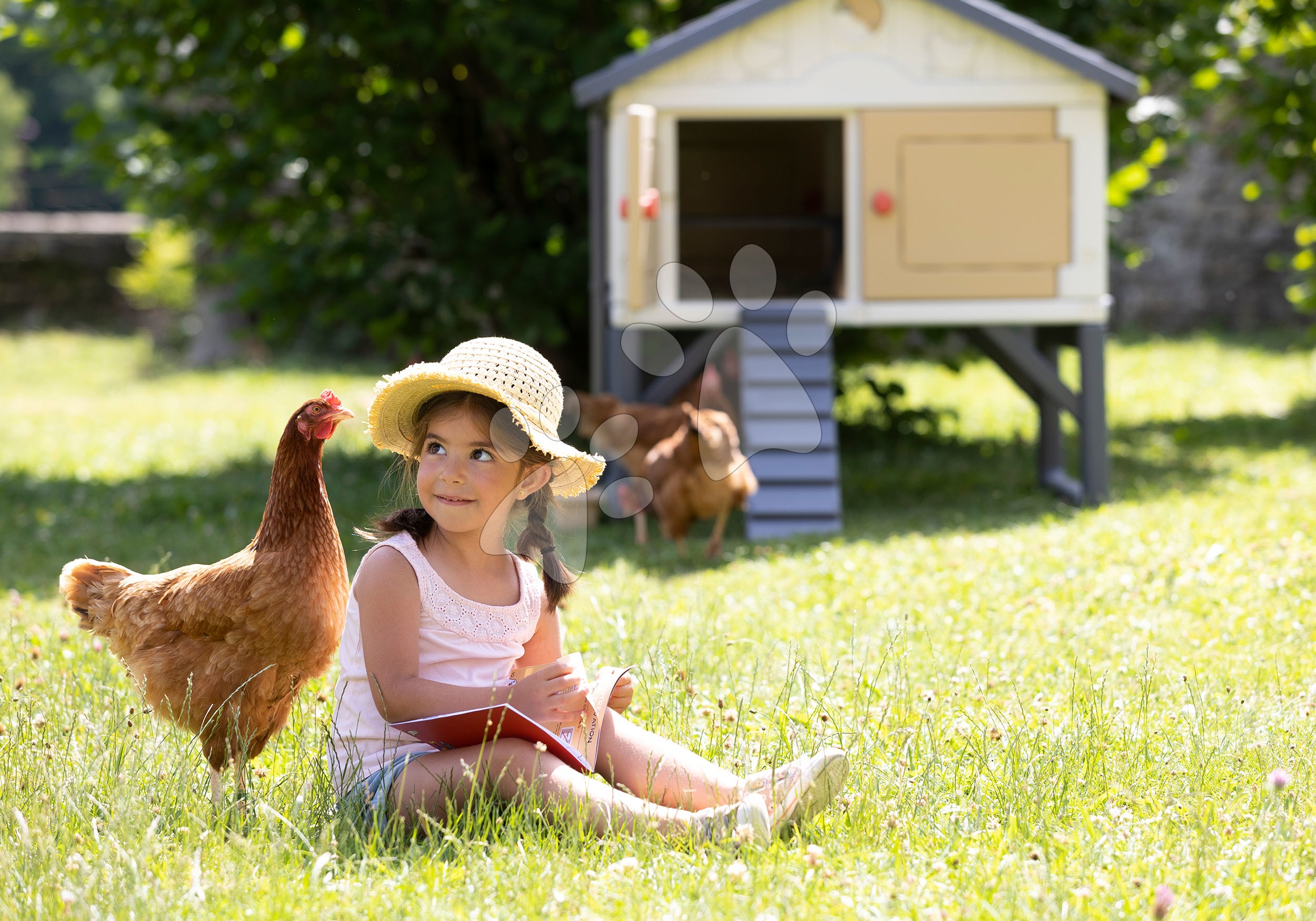 Pollaio Polly Farm Mignon M Per 4/5 Galline Leggere – In Laminato HPL Anti Acaro Rosso 100x80x85 Cm