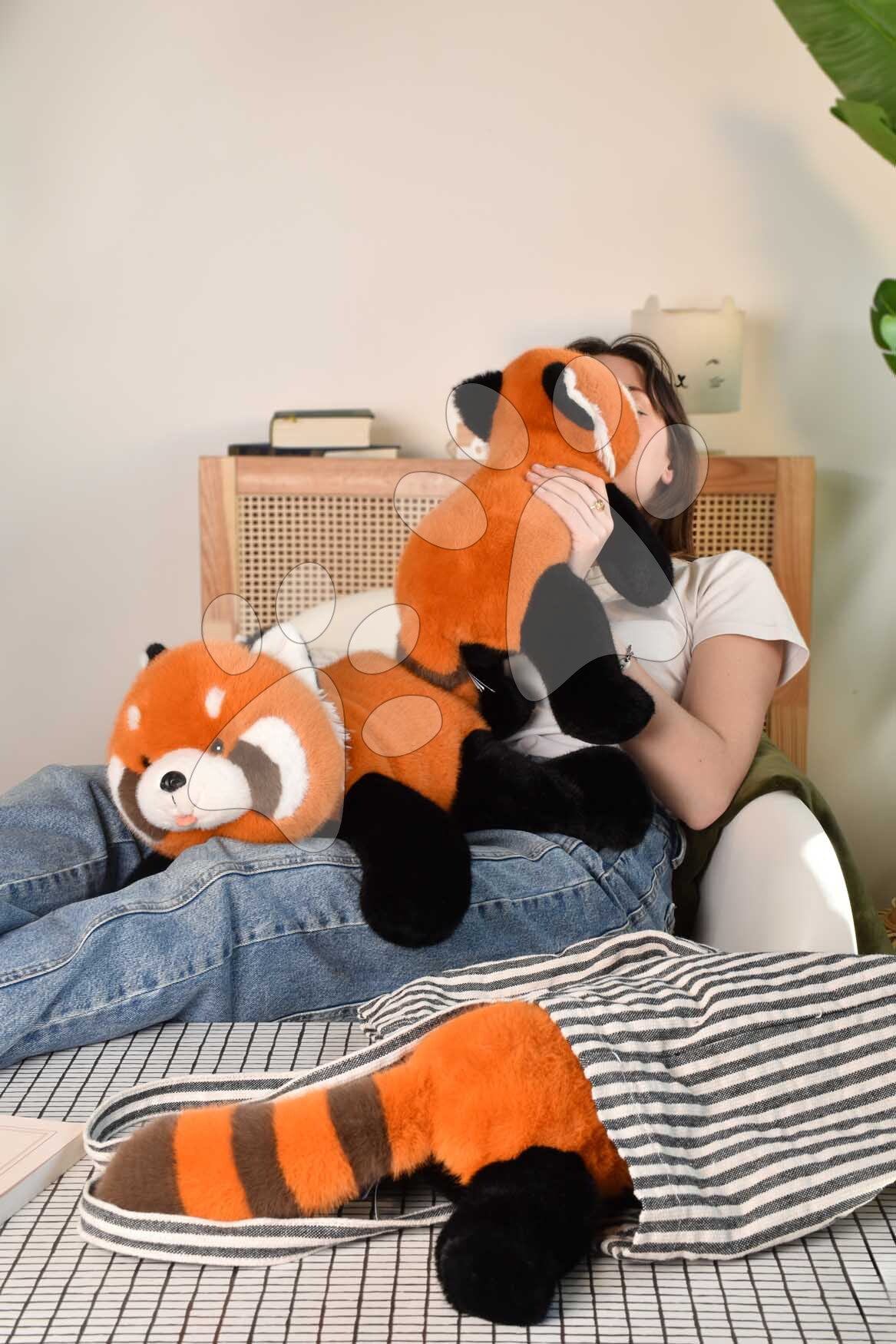 Panda roux en peluche Histoire d'Ours anti-anxiété
