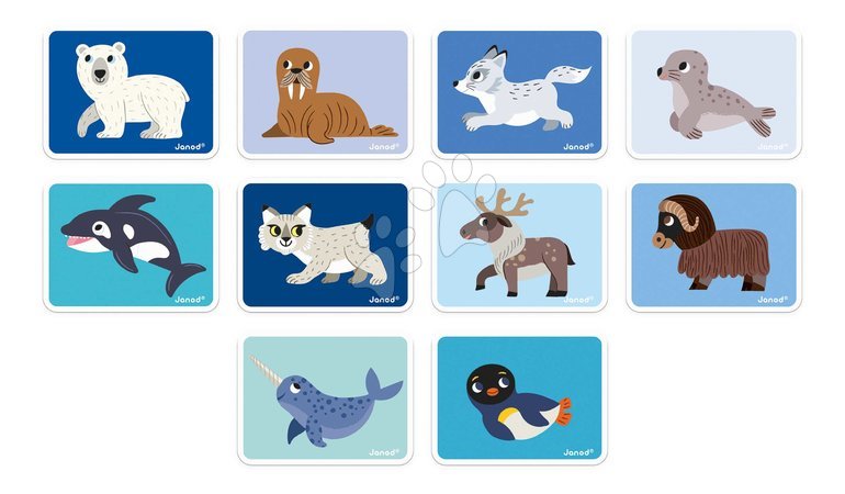 Magnets and magnetic toys - Magnetic Book Polar Animals Magnetibook Janod - 4