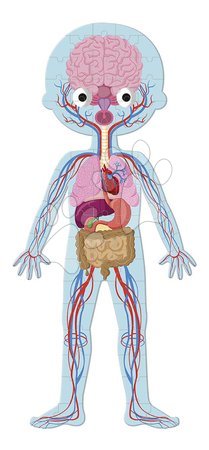 Progressive puzzles for kids - Educational Puzzle Human Body Janod - 2