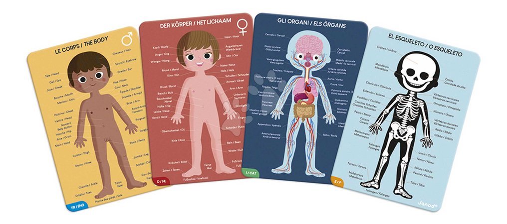 Progressive puzzles for kids - Educational Puzzle Human Body Janod - 5