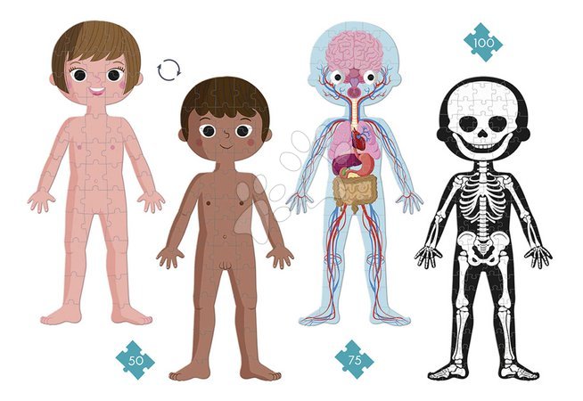 Progressive puzzles for kids - Educational Puzzle Human Body Janod - 6