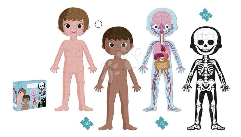 Progressive puzzles for kids - Educational Puzzle Human Body Janod - 7