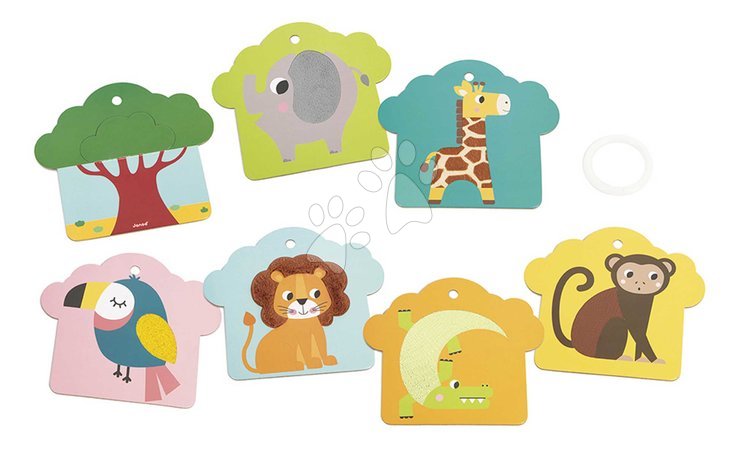Early development toys - Sensory cards Animals in the savanna Janod - 7