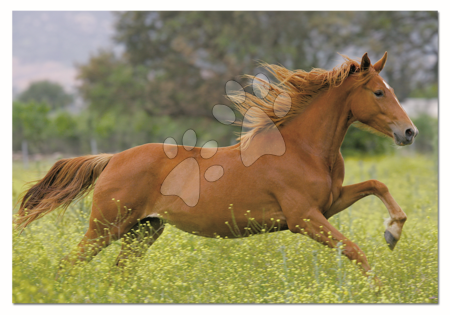Puzzle cu 1000 de bucăți - Puzzle Galloping Educa - 1