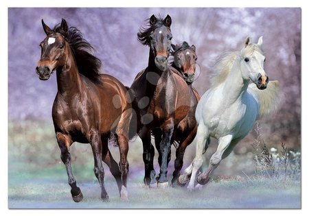 1000 darabos puzzle - Puzzle Lóvágta Educa - 2