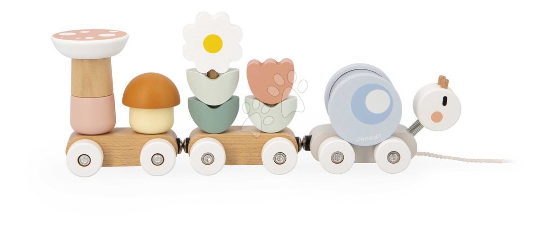 Pull-along toys - Wooden Pull-Along Train Snail Snail Train Sweet Cocoon Janod_1