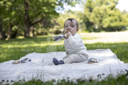 Chrastítka a kousátka - Dřevěné chrastítko se zvonečky Bio 100% Natur Baby Pure Rattle Eichhorn_1