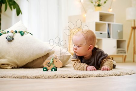 Vývoj motoriky - Drevené zvieratko somárik Baby HIPP Push Donkey Eichhorn_1