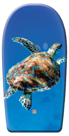 Giocattoli acquatici per bambini dai 3 anni - Tavola da nuoto in schiuma Seaside Wave Rider Mondo_1