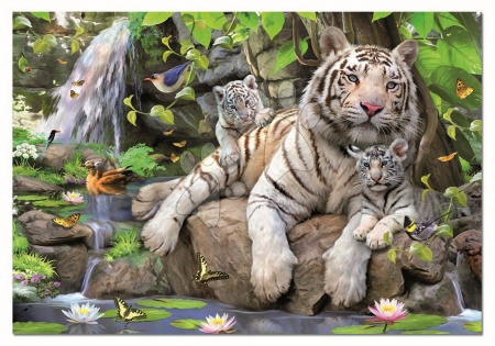 Puzzle i društvene igre - EDUCA 14808 PUZZLE 1000 dielov TWhite tigers of Bengal 68x48 cm+ FIX PUZZLE LEPIDLO_1