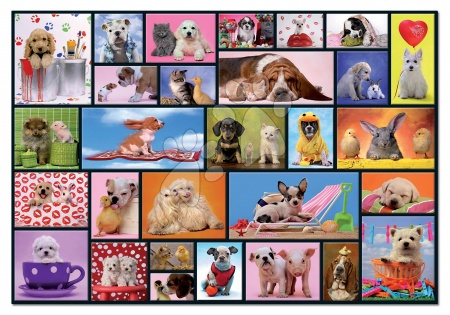1000 darabos puzzle - Puzzle Shared Moments Educa - 1