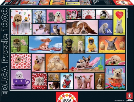 1000 darabos puzzle - Puzzle Shared Moments Educa - 2