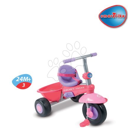Tricikli od 10. meseca - Tricikel DX smarTrike - 2