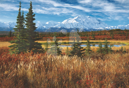 Puzzle 1500 dílků - Puzzle Denali National Park USA Educa - 1