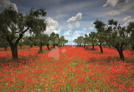 1000 darabos puzzle - Puzzle Genuine Poppy Field Educa - 1