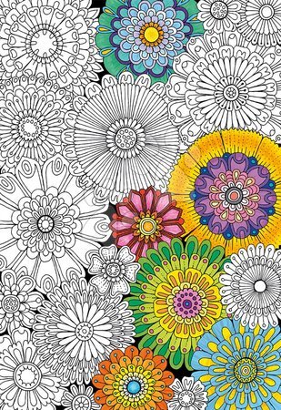 Dětské puzzle od 100–300 dílků - Puzzle Omalovánky Big Beautiful Blossoms 23 Doodle Art Educa - 1