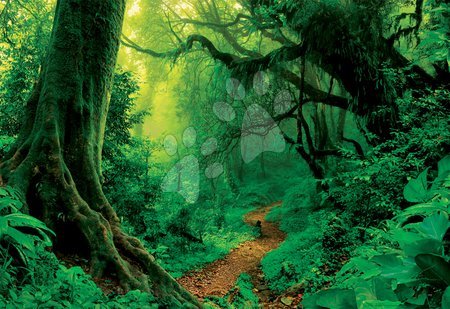 Puzzle 1000 dílků - Puzzle Genuine Enchanted Forest Educa - 1