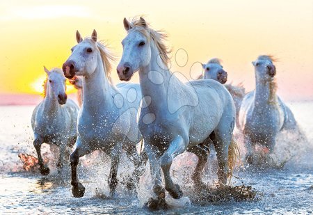 Puzzle 1000 dílků - Puzzle Genuine White Horses at Sunset slunce Educa - 1