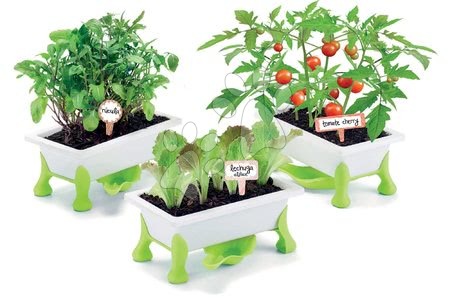 Kertészkedés - Kis Kertész - zöldségek Tomato-Lettuce-Rocket Educa - 1