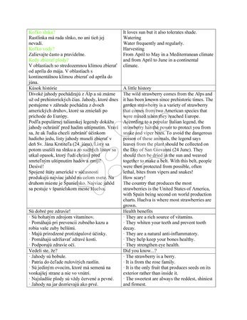 Kertészkedés - Kis Kertész - zöldségek Tomato-Lettuce-Rocket Educa - 8