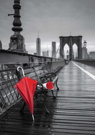 1000 darabos puzzle - Puzzle Black&White Red Umbrella, Brooklyn Bridge Educa - 1