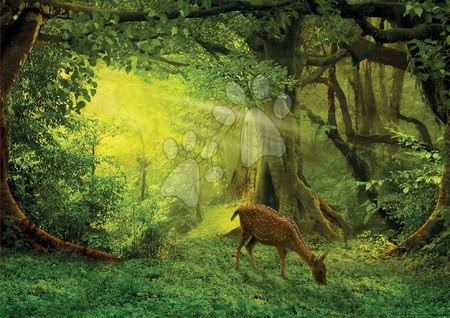 Hračky pre všetkých od 10 rokov - Puzzle Little Deer Educa_1