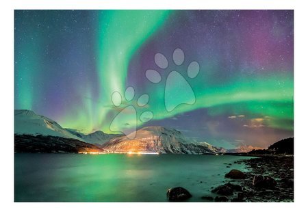 1000 darabos puzzle - Puzzle Aurora Borealis Educa - 1