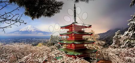 Dlouhé zimní večery - Puzzle panorama Mount Fuji and Chureito Pagoda Educa_1