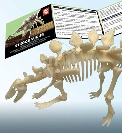 Lucru manual și creație - Puzzle joc de construit 3D Dinosaur Fossil Educa - 2