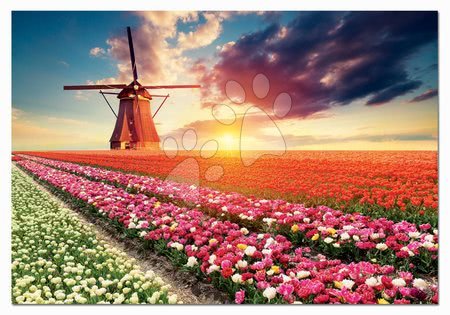 Igračke za sve od 10 godina - Puzzle Tulips Landscape Educa_1