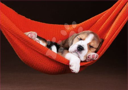  - Puzzle Sleeping in the hammock Educa_1