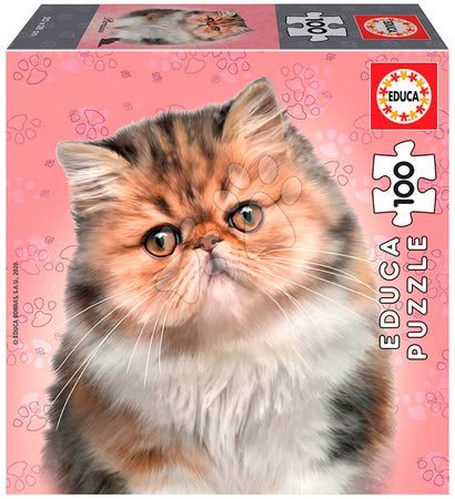 Dětské puzzle od 100–300 dílků - Puzzle Mini Box Persian Educa