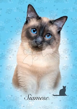 Gyerek puzzle - Puzzle Mini Box Siamese Educa_1