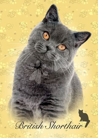 Puzzle și jocuri de societate - Puzzle Mini Box British Shorthair Educa_1