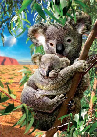 Puzzle 500 dielne - Puzzle Koala and Cub Educa_1