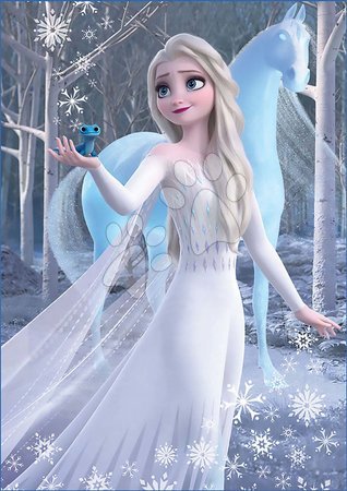 Puzzle - Puzzle Frozen Educa_1