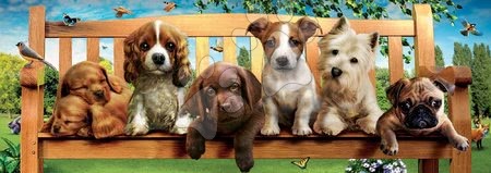 Puzzle - Puzzle panoráma Puppies on a bench Educa_1